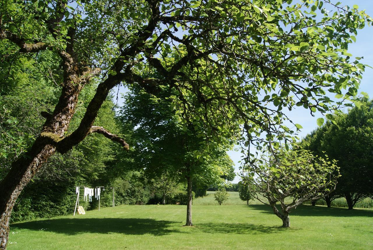 Le Lac Aux Fees Henrichemont Exteriör bild